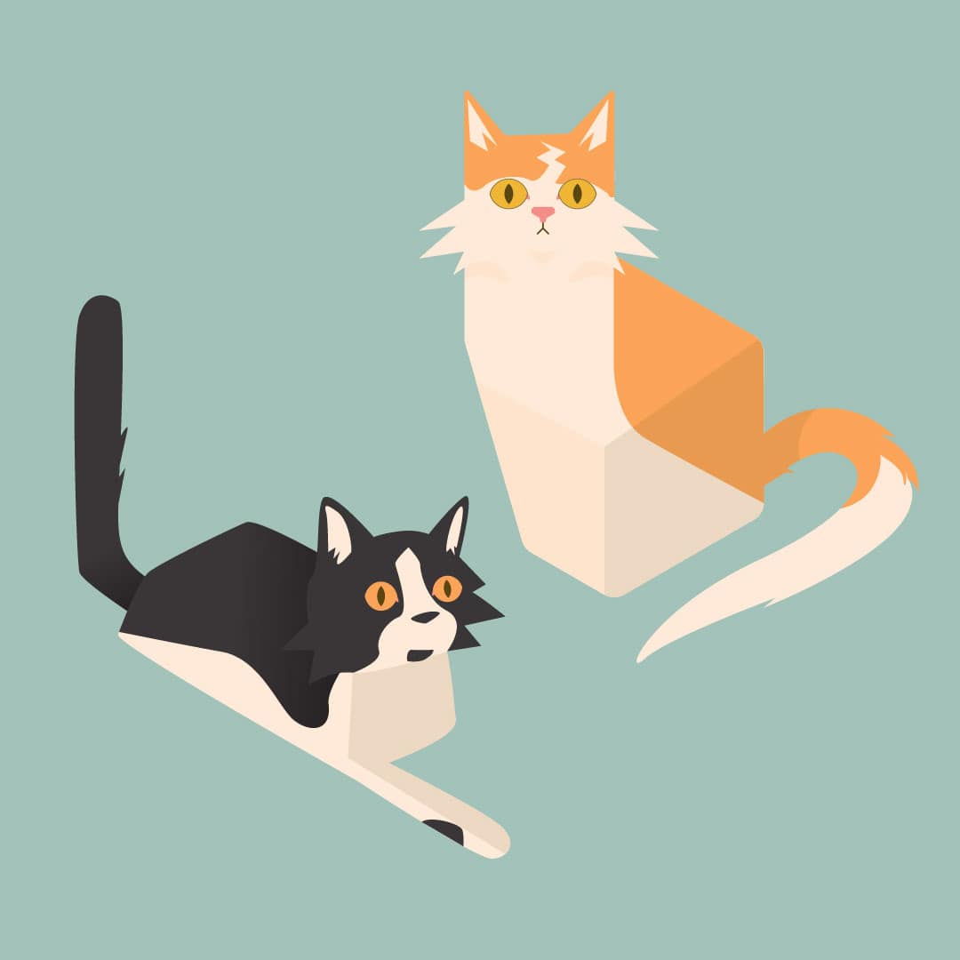 closeup of illustrations, this one featuring the designer's cats